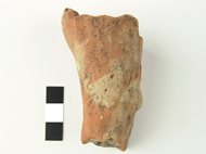 02-pravcice-3-fragment-prave-nohy-sosky-venuse